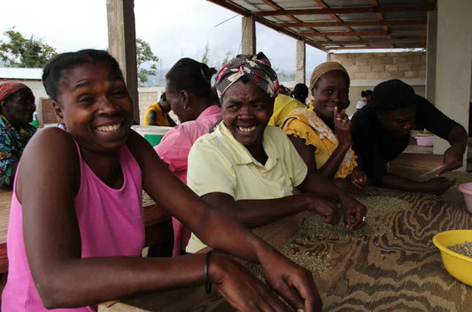 Discover the Rich Flavours of Haitian Coffee: A Spotlight on Noula