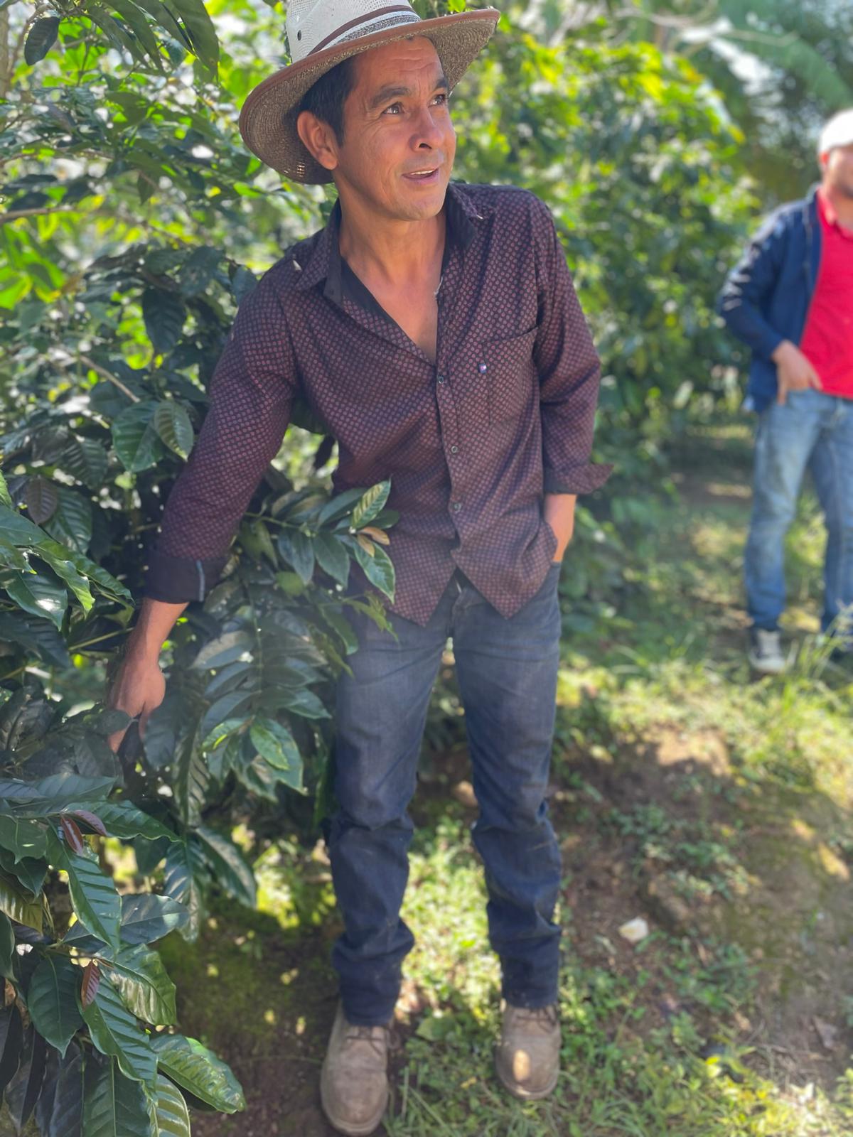 Muse - Honduran Microlot Single Origin (New!) - Coffee of the month!