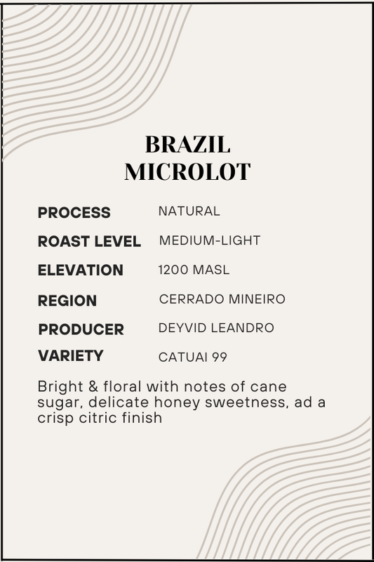 Coffee label for Brazil Microlot with detailed information on process, roast level, elevation, region, producer, and variety.