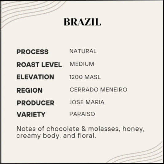 Rhapsody (Paraiso) - Brazil - Poets & Prose Coffee Roasters