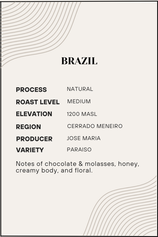 Coffee label with details about Brazilian coffee, including process, roast level, elevation, region, producer, and variety.