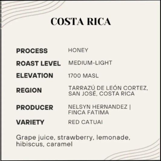 Hymn - Costa Rica Tarrazu (Preorder) - Poets & Prose Coffee Roasters