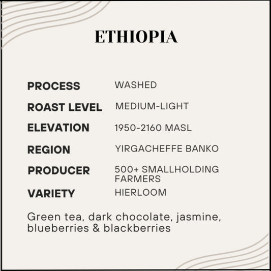 Informational card about Ethiopia coffee with details on process, roast level, elevation, region, producer, and variety.
