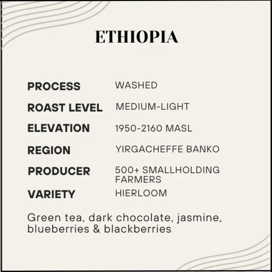 Proem - Ethiopia Yirgacheffe - Poets & Prose Coffee Roasters