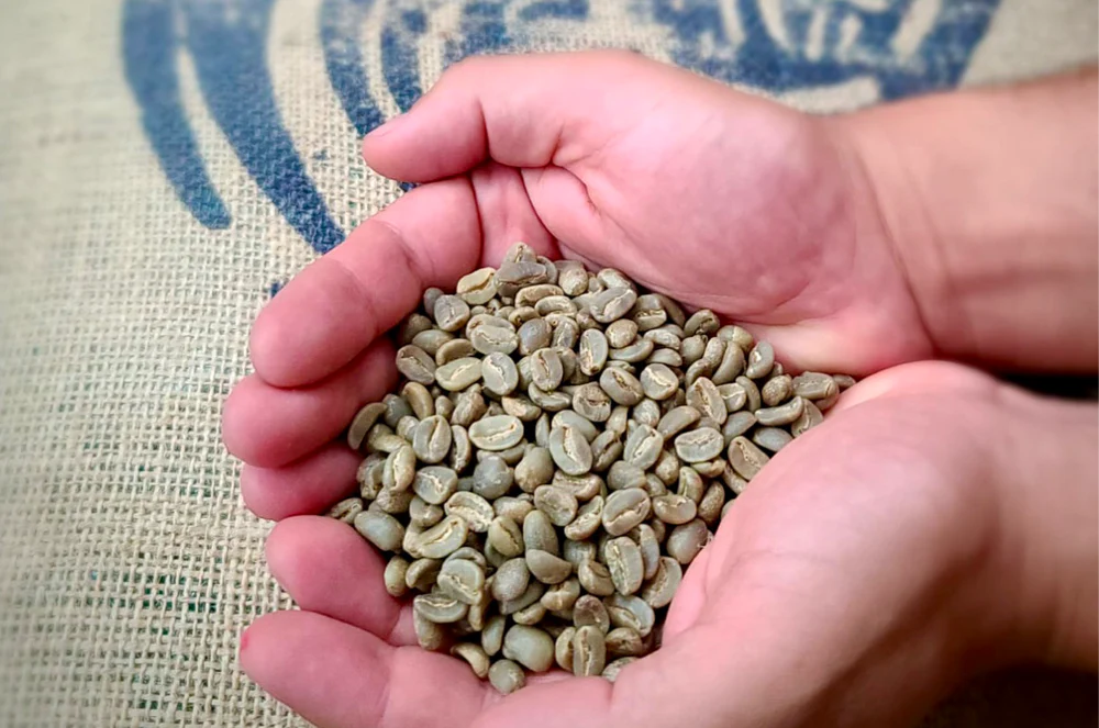 Noula - Haiti - Medium-dark Roast