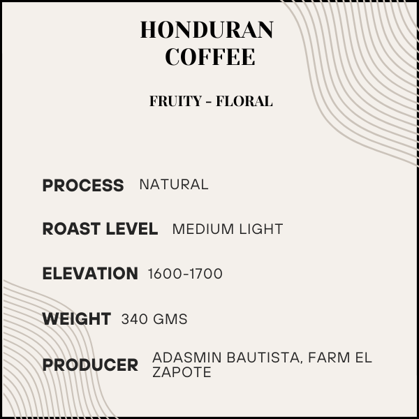 Muse - Honduran Single Farm (Medium Light Roast)