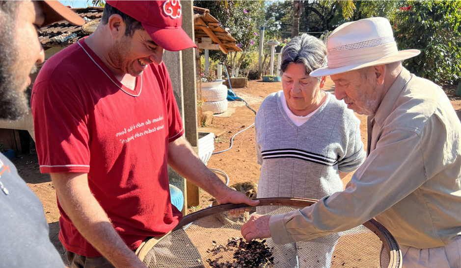 Rhapsody (Paraiso) - Brazil - Medium Roast