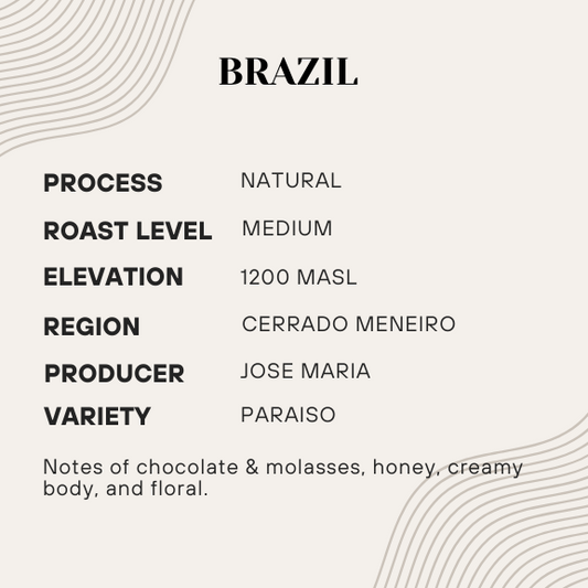 Coffee information card for Brazil with details on process, roast level, elevation, region, producer, and variety.