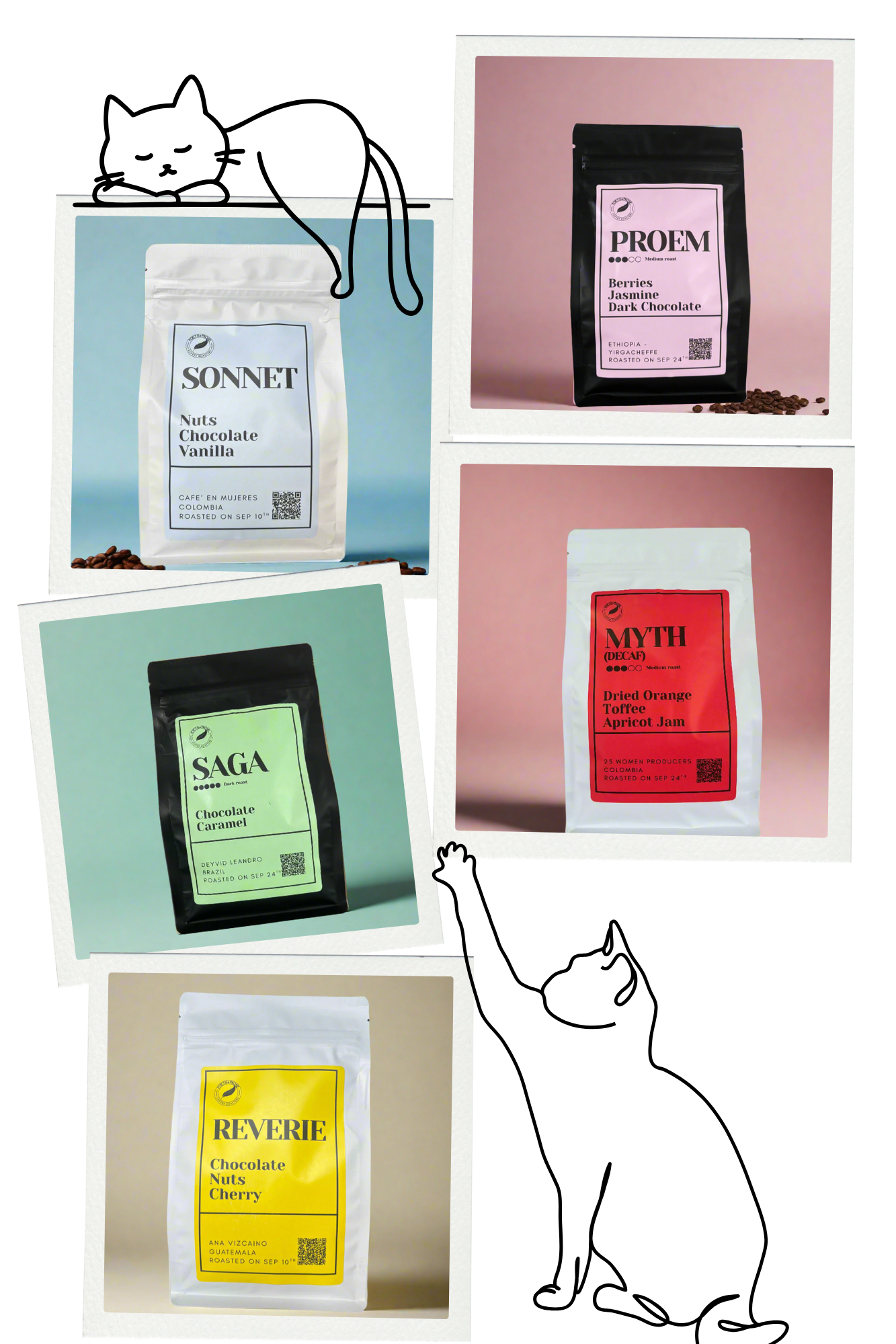 Collage of various coffee packages with a cat illustration on a white background
