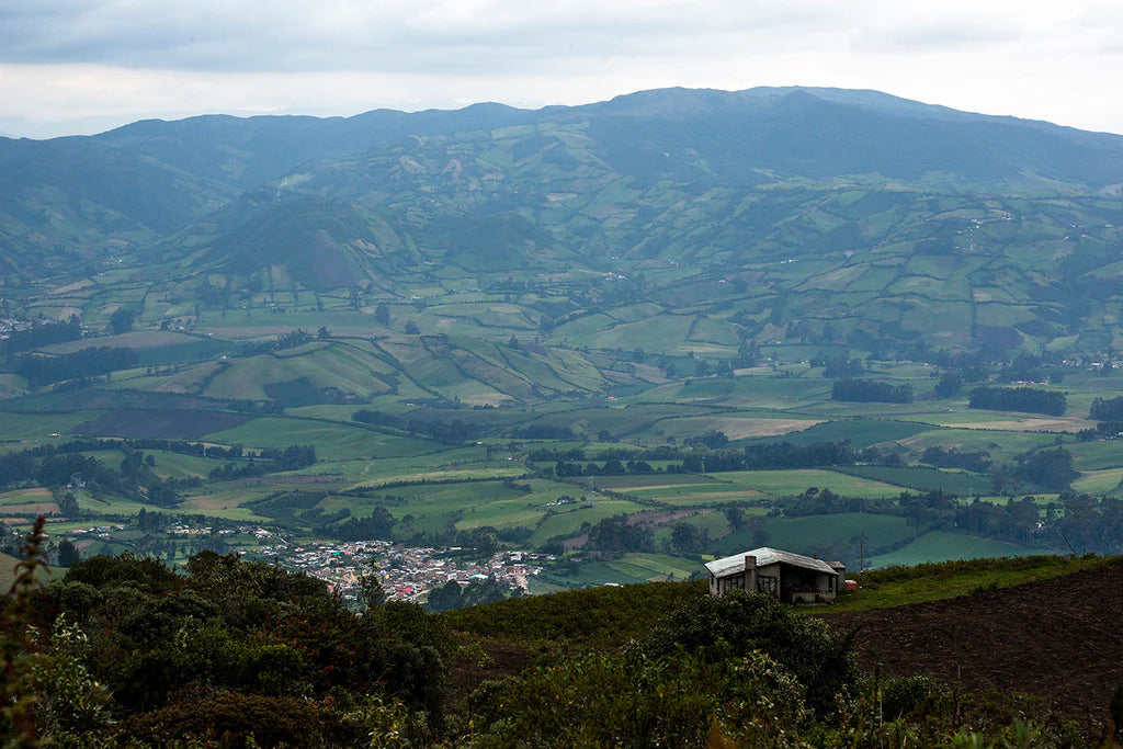 Scenic view of a valley with hills and a small building.