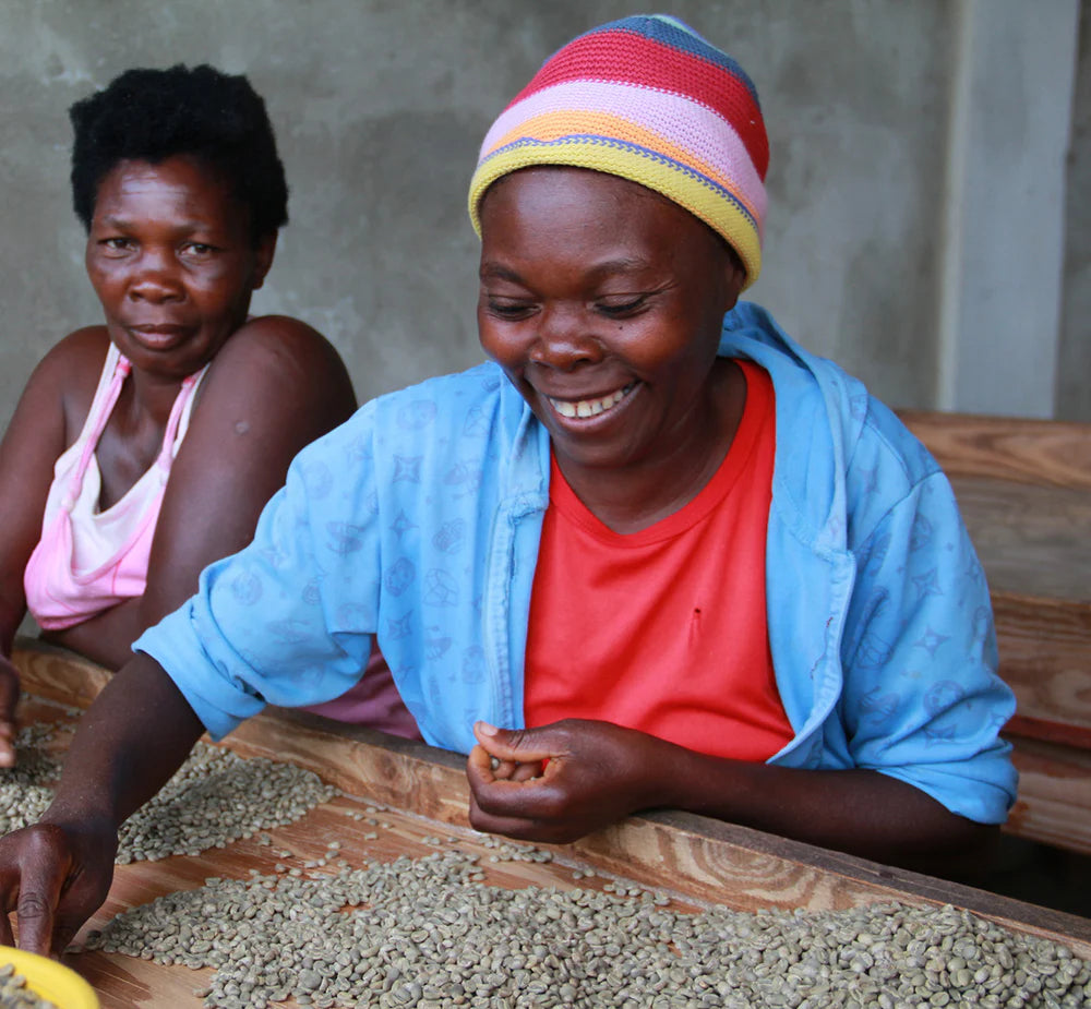 Noula - Haitian (Medium-dark Roast)