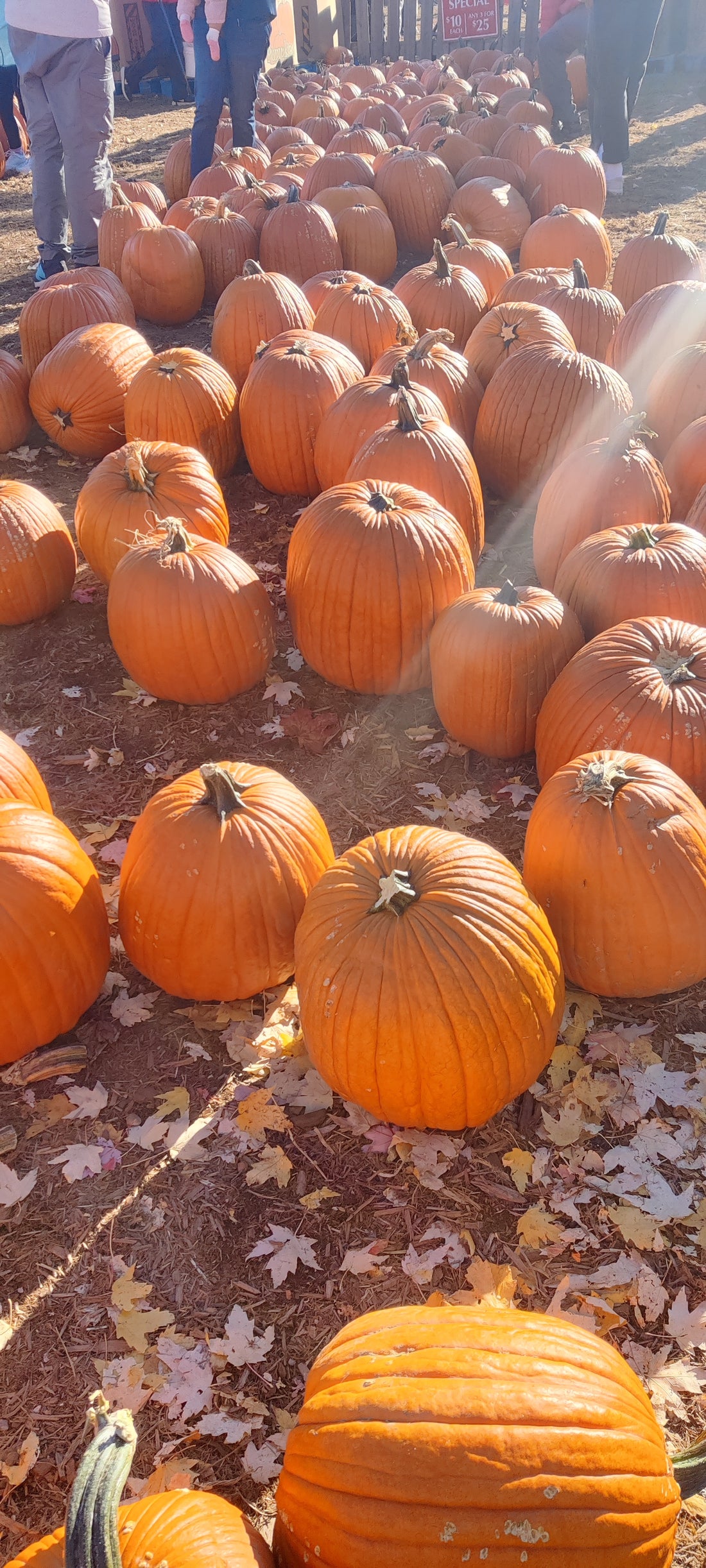 How to Make the Perfect Pumpkin Spice Latte (and More Fall Coffee Drinks) at Home