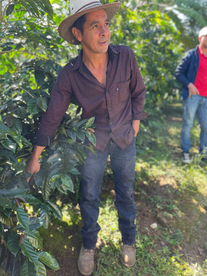 Muse - Honduran Microlot Single Origin (New!) - Coffee of the month!