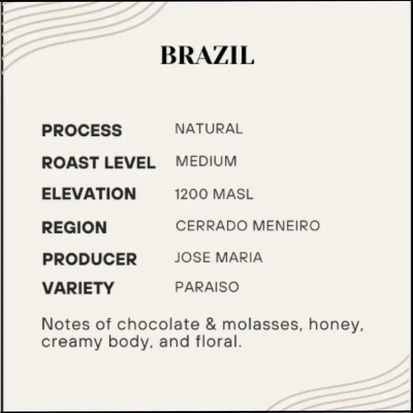 Rhapsody (Paraiso) - Brazil - Poets & Prose Coffee Roasters