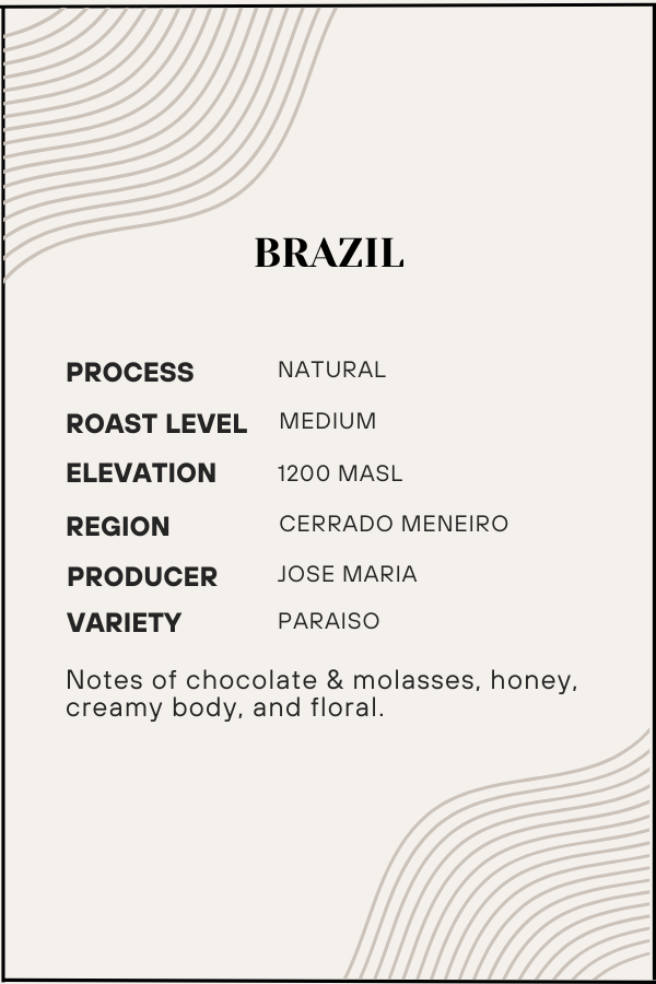 Coffee label with details about Brazilian coffee, including process, roast level, elevation, region, producer, and variety.