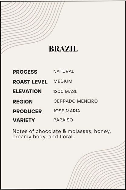 Coffee label with details about Brazilian coffee, including process, roast level, elevation, region, producer, and variety.