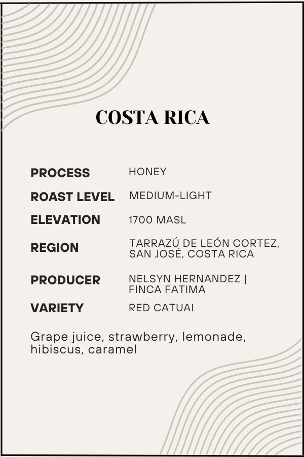 Coffee label from Costa Rica with details on process, roast level, elevation, region, producer, and variety.