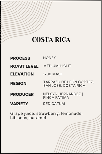 Coffee label from Costa Rica with details on process, roast level, elevation, region, producer, and variety.