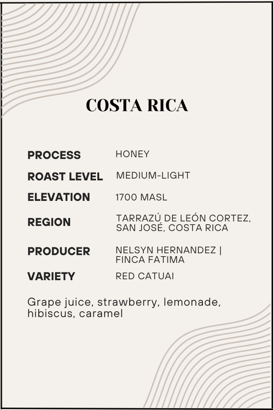 Coffee label from Costa Rica with details on process, roast level, elevation, region, producer, and variety.