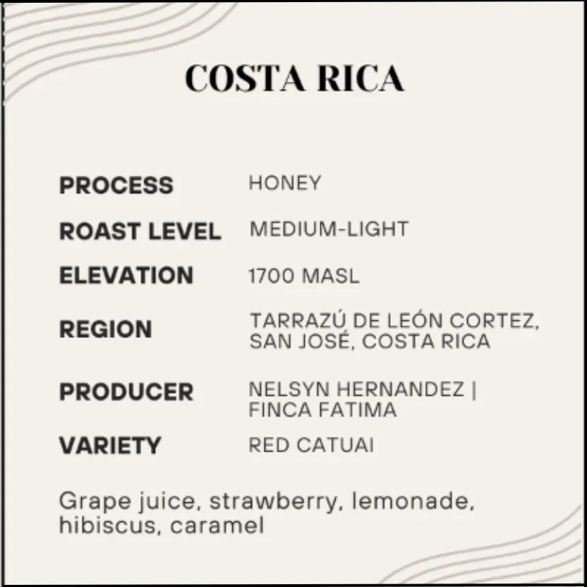 Hymn - Costa Rica Tarrazu (Preorder) - Poets & Prose Coffee Roasters
