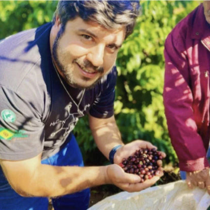 Man holding coffee beans in a coffee plantation