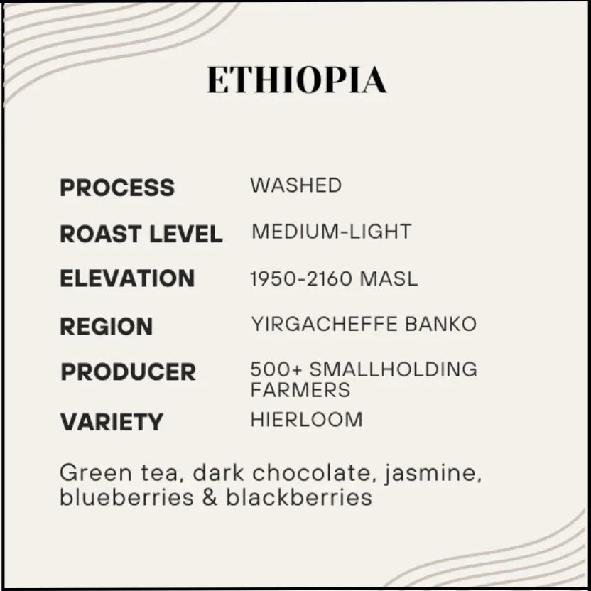 Proem - Ethiopia Yirgacheffe - Poets & Prose Coffee Roasters