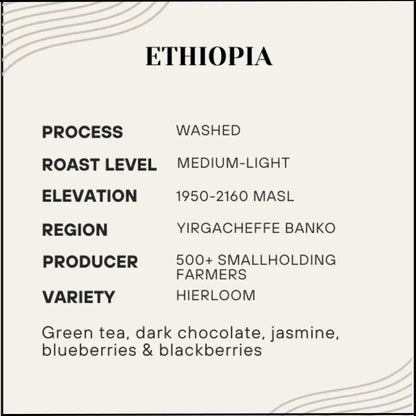 Proem - Ethiopia Yirgacheffe - Poets & Prose Coffee Roasters