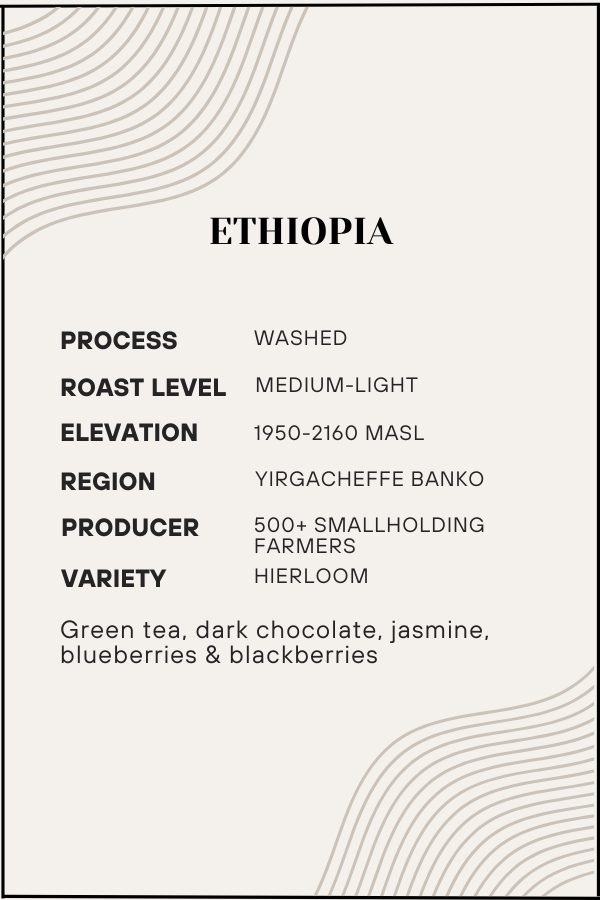 Coffee label with Ethiopia coffee details on a white background