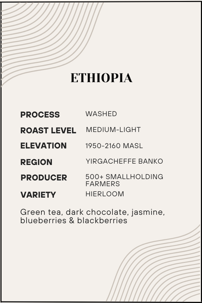 Coffee label with Ethiopia coffee details on a white background