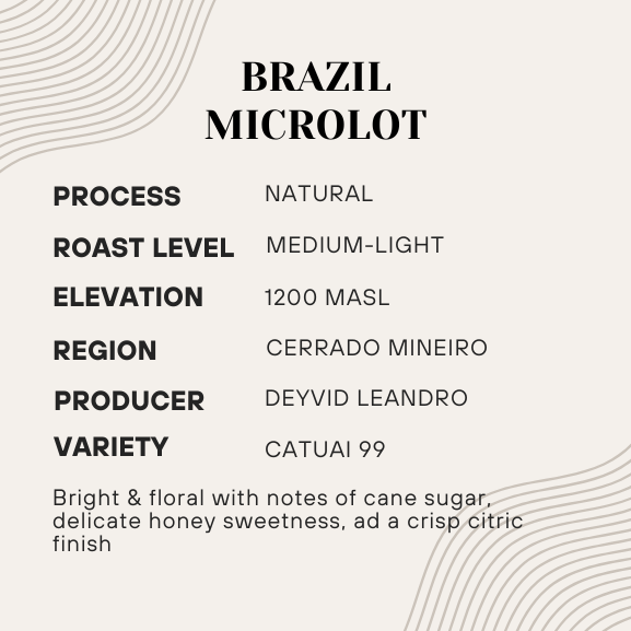 Coffee bean information card for Brazil Microlot with details on process, roast level, elevation, region, producer, and variety.