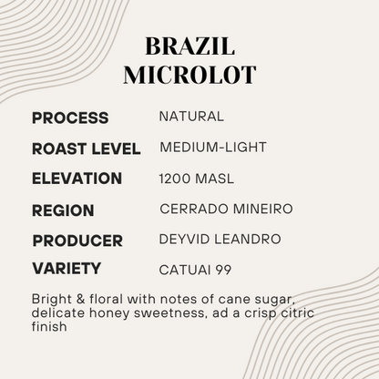 Coffee bean information card for Brazil Microlot with details on process, roast level, elevation, region, producer, and variety.