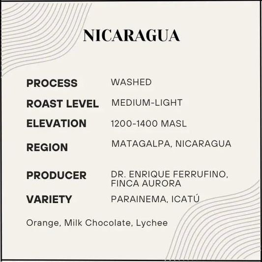 Amor - Nicaragua - Poets & Prose Coffee Roasters