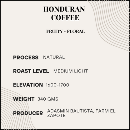 Muse - Honduran Single Farm (Medium Light Roast)