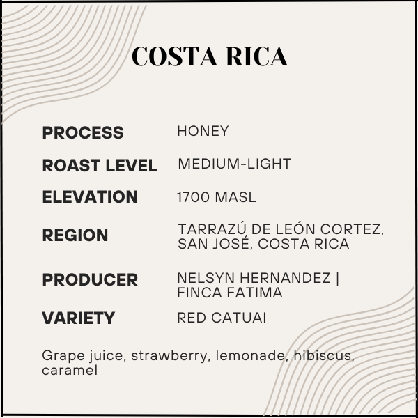 Coffee label with details about Costa Rican coffee from Tarrazóu de Leñón Cortez, San José.