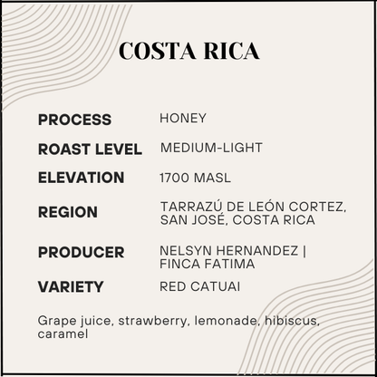 Coffee label with details about Costa Rican coffee from Tarrazóu de Leñón Cortez, San José.