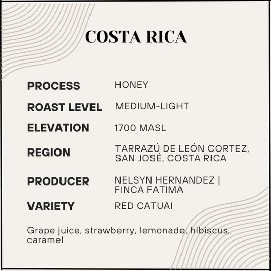 Coffee label with details about Costa Rican coffee from Tarrazóu de Leñón Cortez, San José.