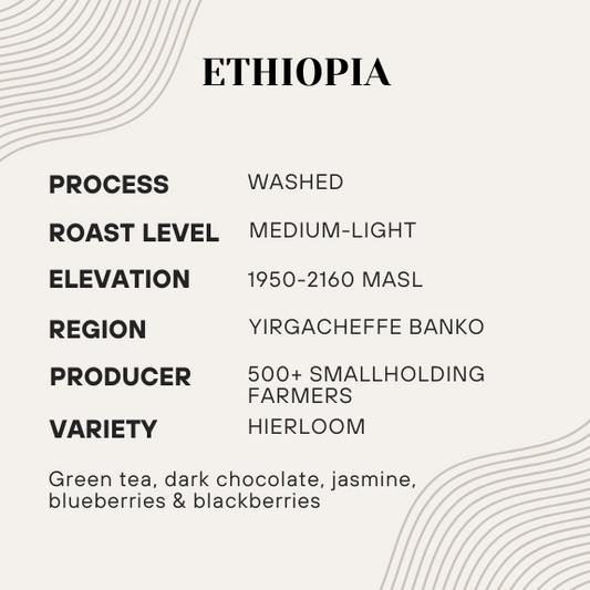 Informational card about Ethiopia coffee with details on process, roast level, elevation, region, producer, and variety.