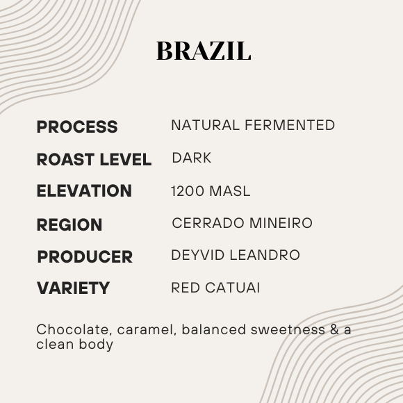 Coffee information card for Brazil coffee with details on process, roast level, elevation, region, producer, and variety.