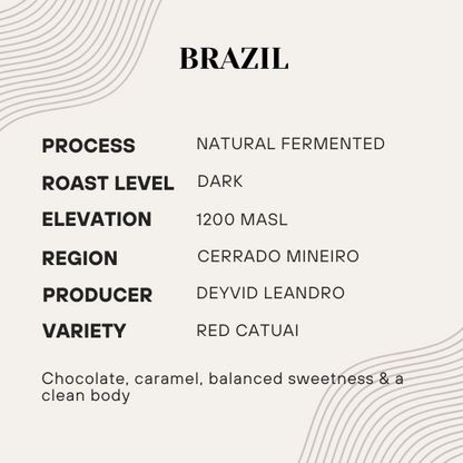 Coffee information card for Brazil coffee with details on process, roast level, elevation, region, producer, and variety.