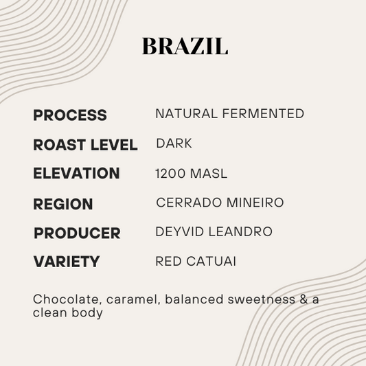 Coffee information card for Brazil coffee with details on process, roast level, elevation, region, producer, and variety.